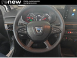 Dacia Sandero Stepway Essential miniatura 19